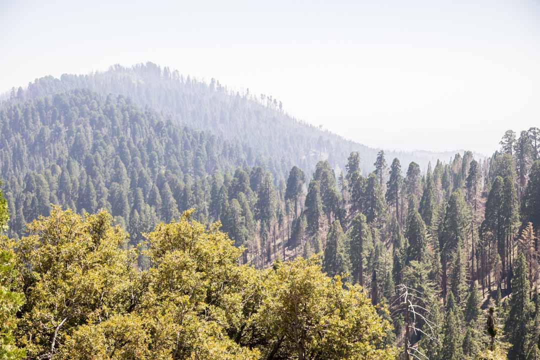 Kings Canyonin kansallispuisto, Yhdysvallat