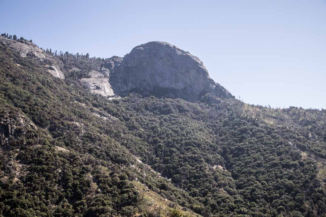 Sequoian kansallispuisto, Yhdysvallat