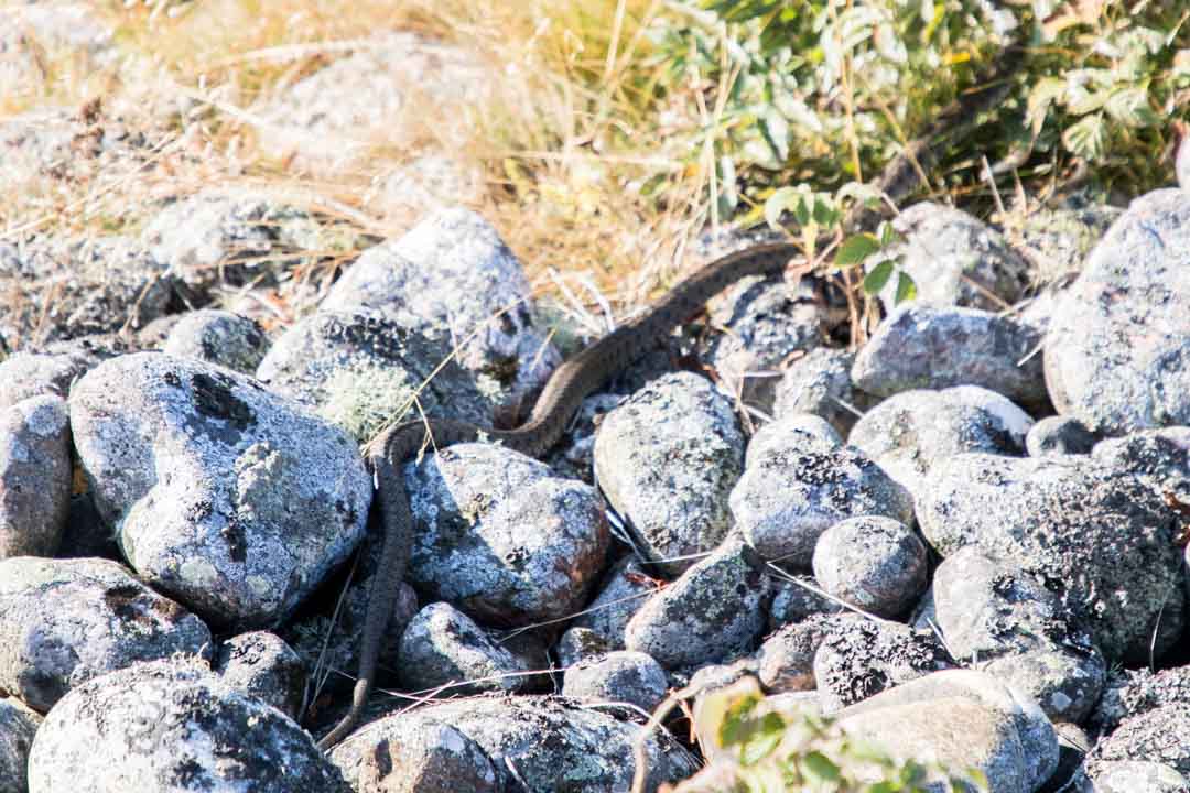 venetaksi Perämeren kansallispuistoon