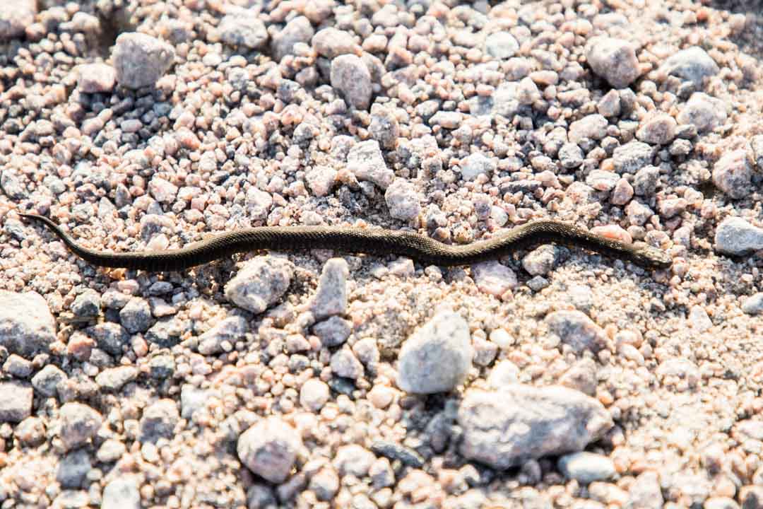 venetaksi Perämeren kansallispuistoon
