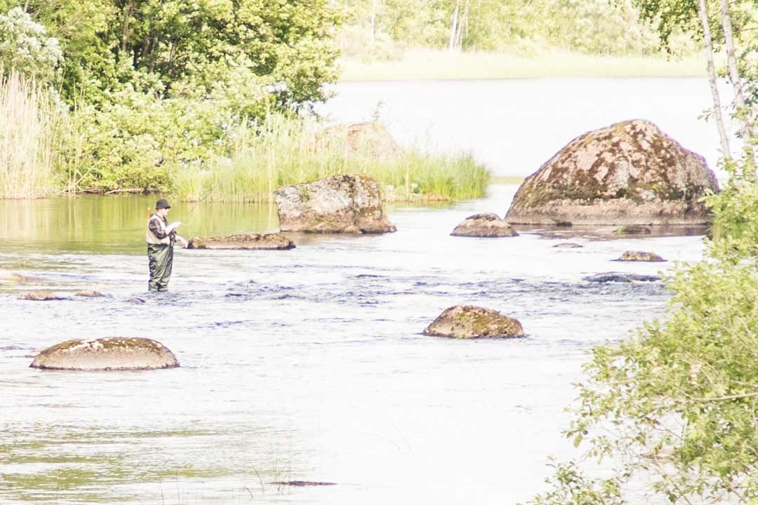 Käyrälammen ulkoilureitti, Kouvola