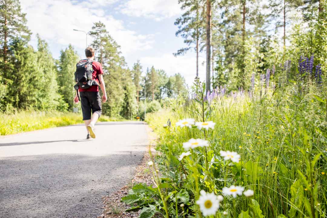 Käyrälammen ulkoilureitti, Kouvola