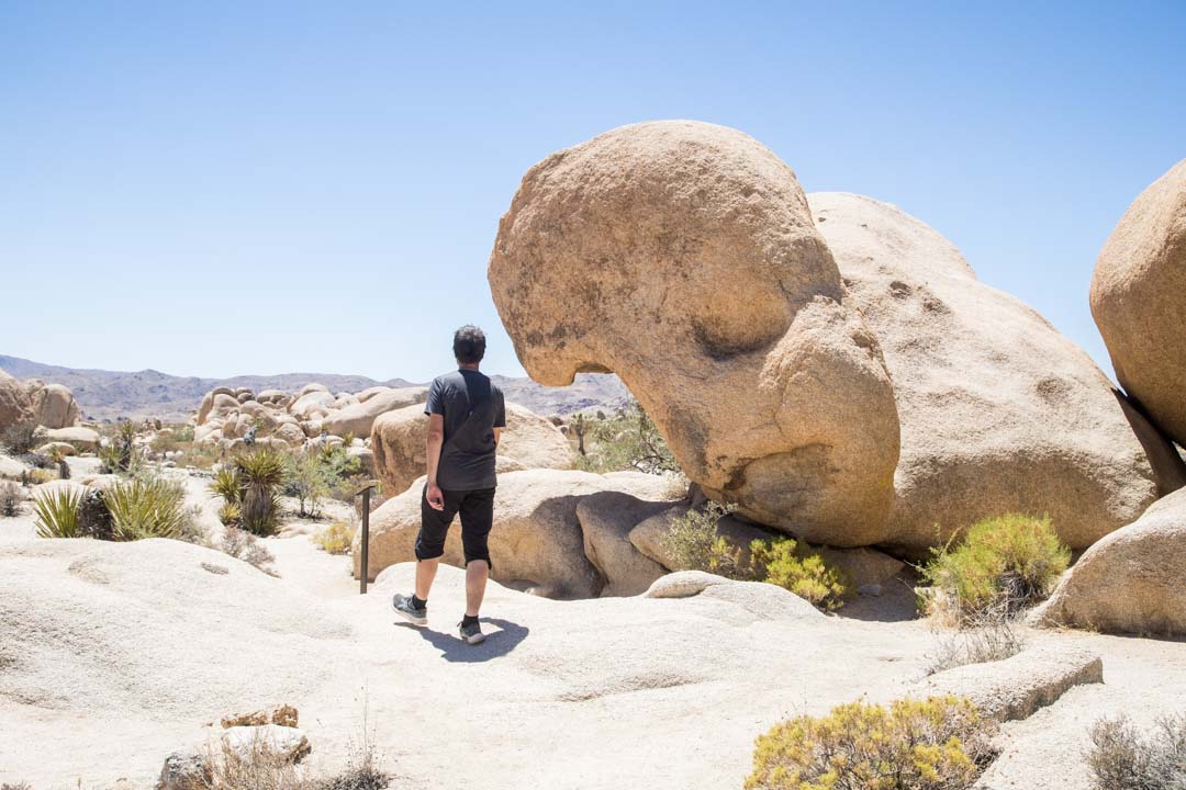 Arch Rock Trail, Joshua Treen kansallispuisto, Yhdysvallat