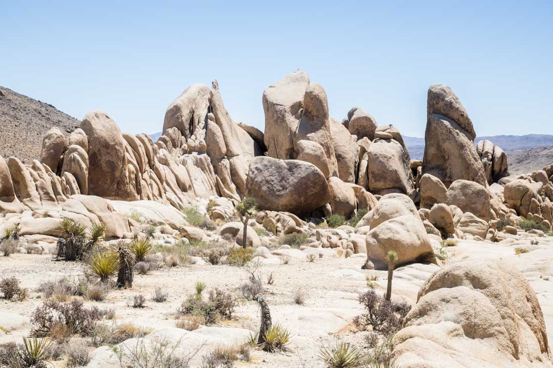 Arch Rock Trail, Joshua Treen kansallispuisto, Yhdysvallat