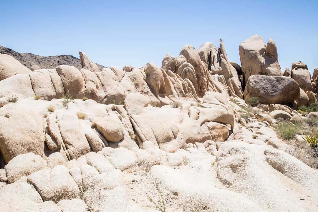 Arch Rock Trail, Joshua Treen kansallispuisto, Yhdysvallat