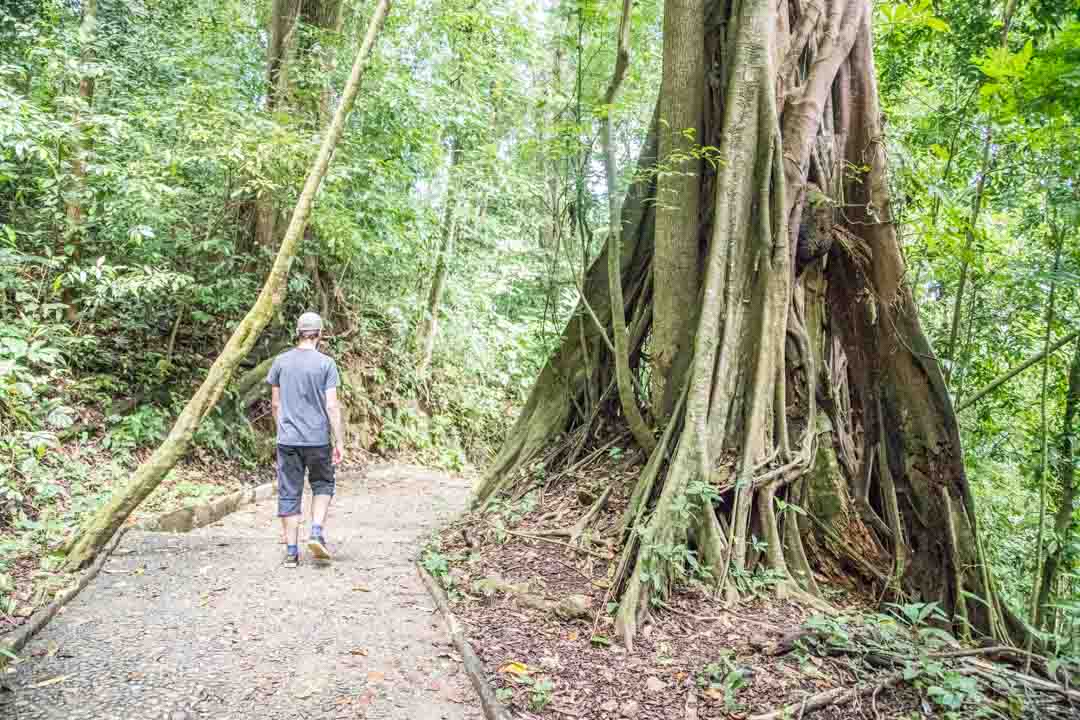 Palenque maya-raunio Meksiko