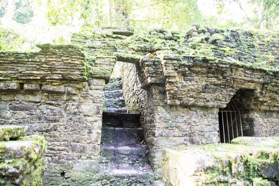 Palenque maya-raunio Meksiko
