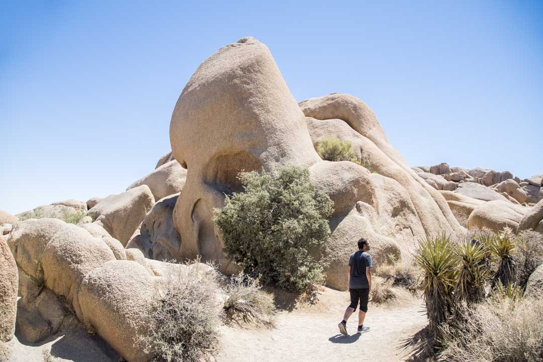 Skull Rock, Joshua Treen kansallispuisto, Yhdysvallat