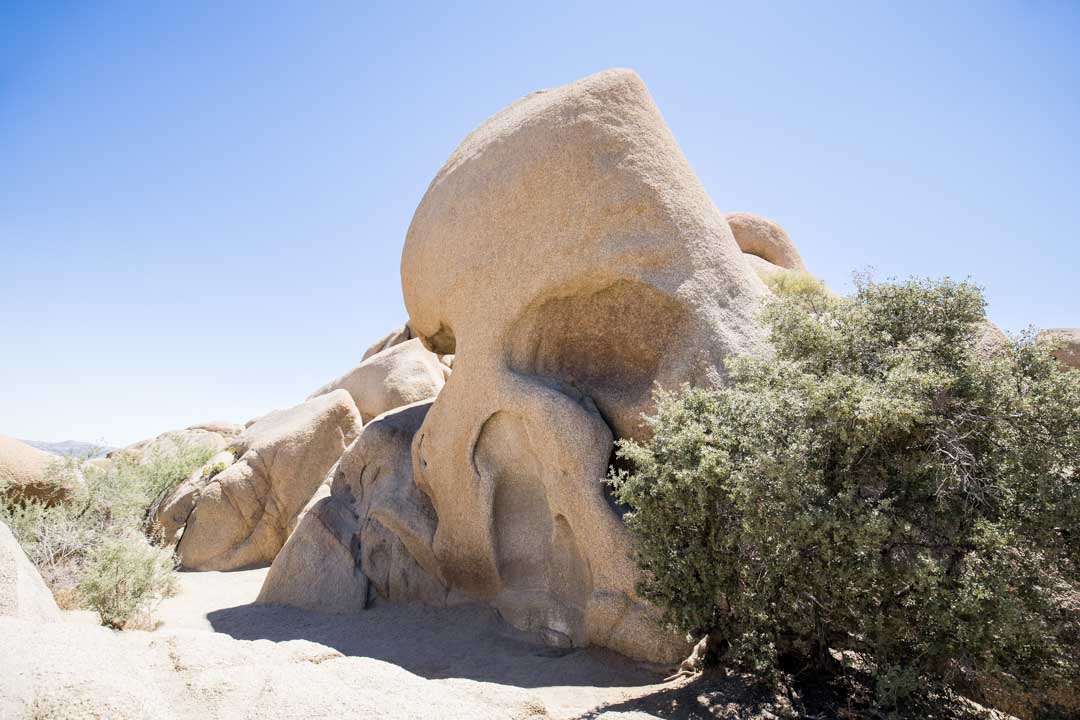 Skull Rock, Joshua Treen kansallispuisto, Yhdysvallat