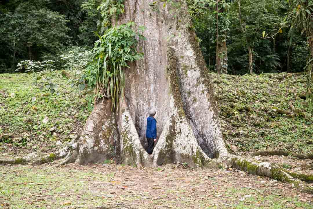 Yaxchilan maya-kaupunki, Meksiko