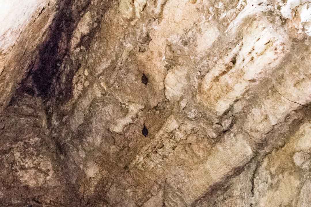 Yaxchilan maya-kaupunki, Meksiko