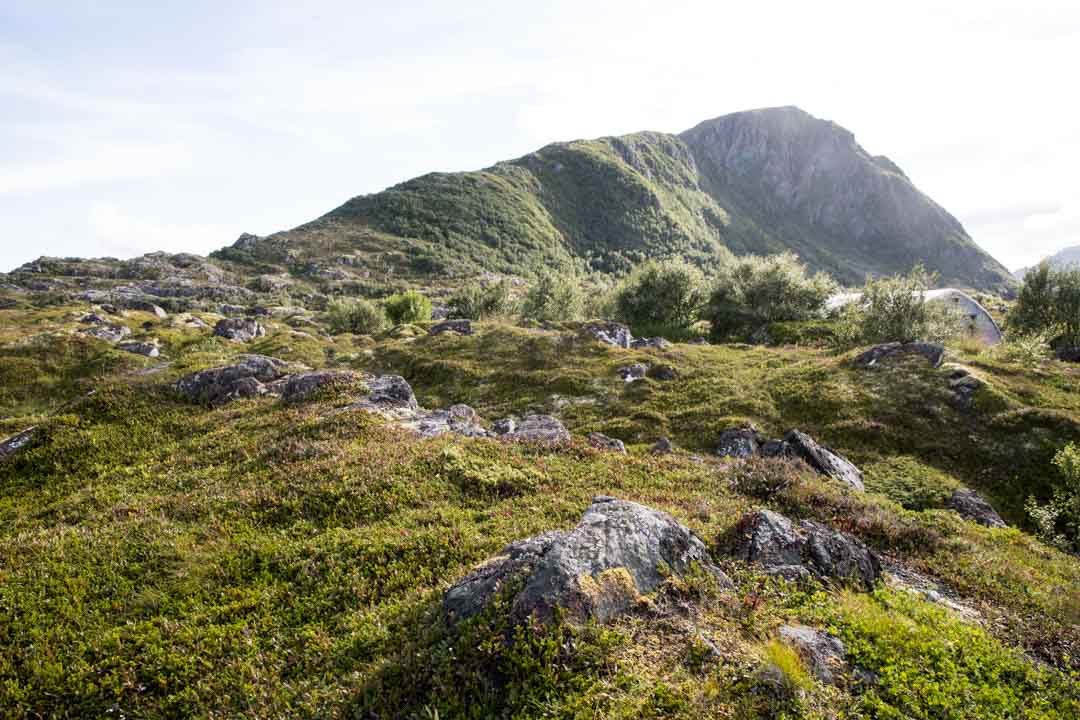 Hoven, patikointi Lofooteilla