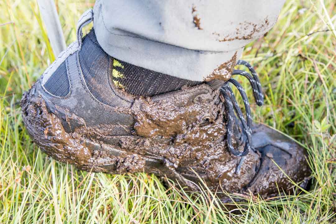 miekkavalaita Skjervøy, Norja
