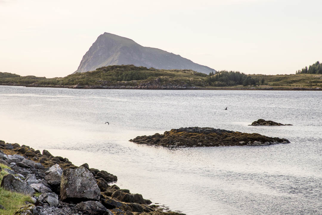 Hoven, patikointi Lofooteilla