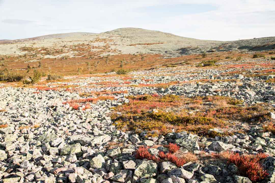 Pirunkurun ponnistus, Pallas-Yllästunturin kansallispuisto