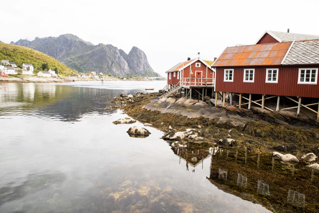 Reine, Lofootit, Norja